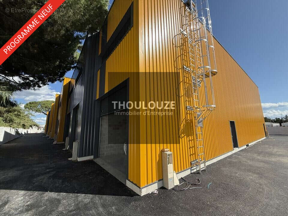 502 m² à Lunel  - photo 2