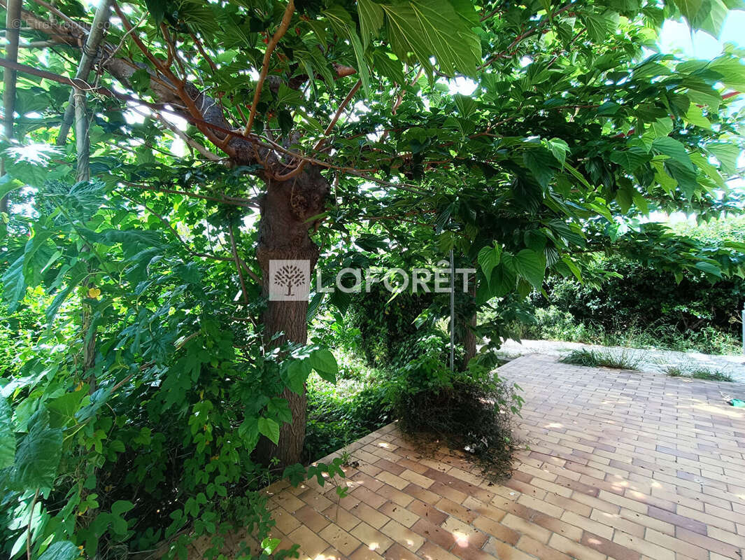 Maison à RIVESALTES