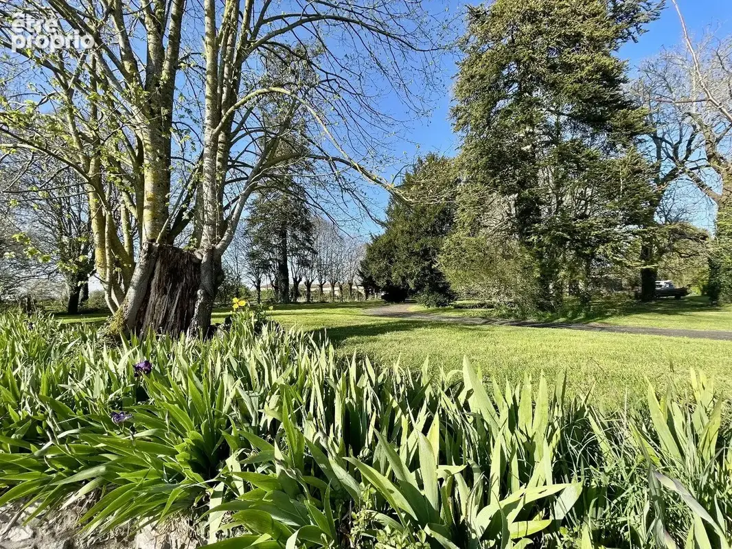 Château avec piscine chauffée,  vastes dépendances, possibilité chambres d'hôtes - photo 14