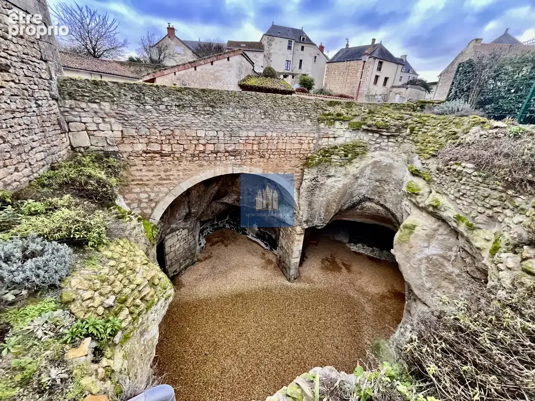 Pouançay (86) propriété de charme coeur village (5 ch) avec  grandes caves troglo - photo 34