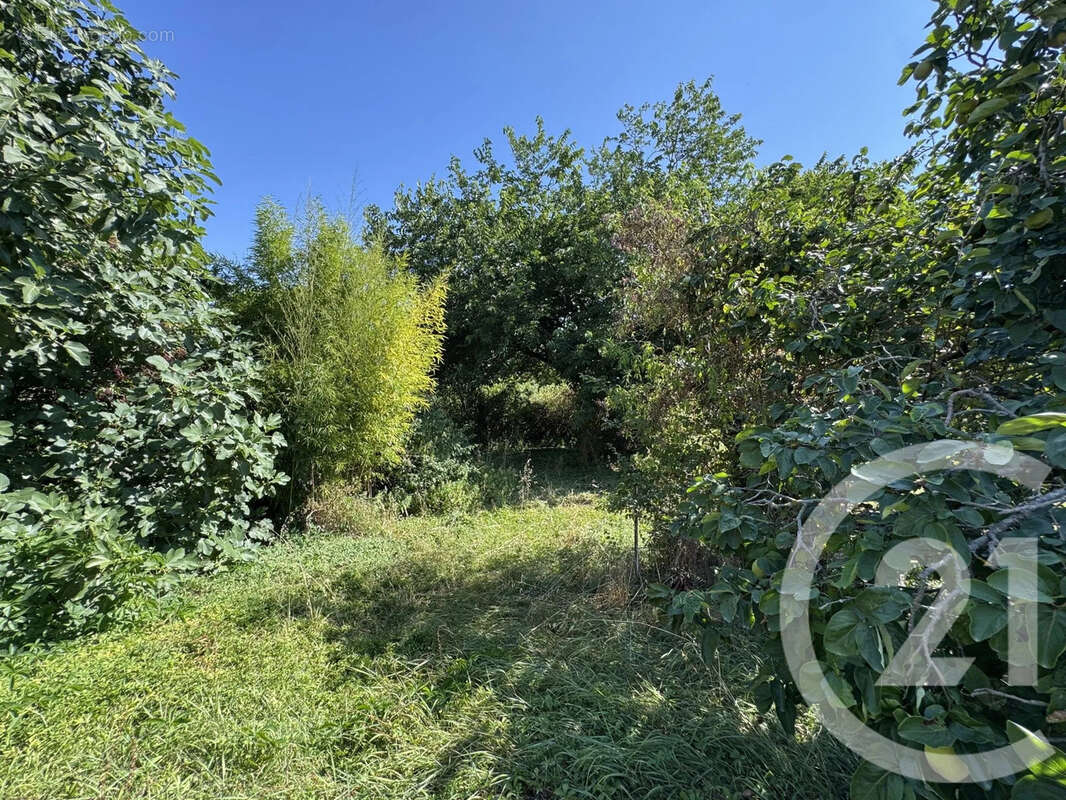 Maison 162 m² à Vendine  - photo 11