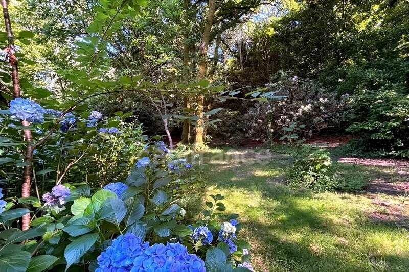 Terrain en zone naturelle et forestière boisé et fleuri de 4 880,00 m² proche de QUIMPER (29) - photo 5