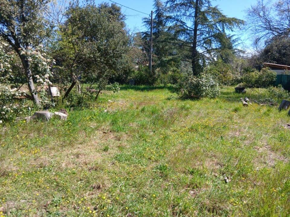 Terrain à SAINT-MAXIMIN-LA-SAINTE-BAUME