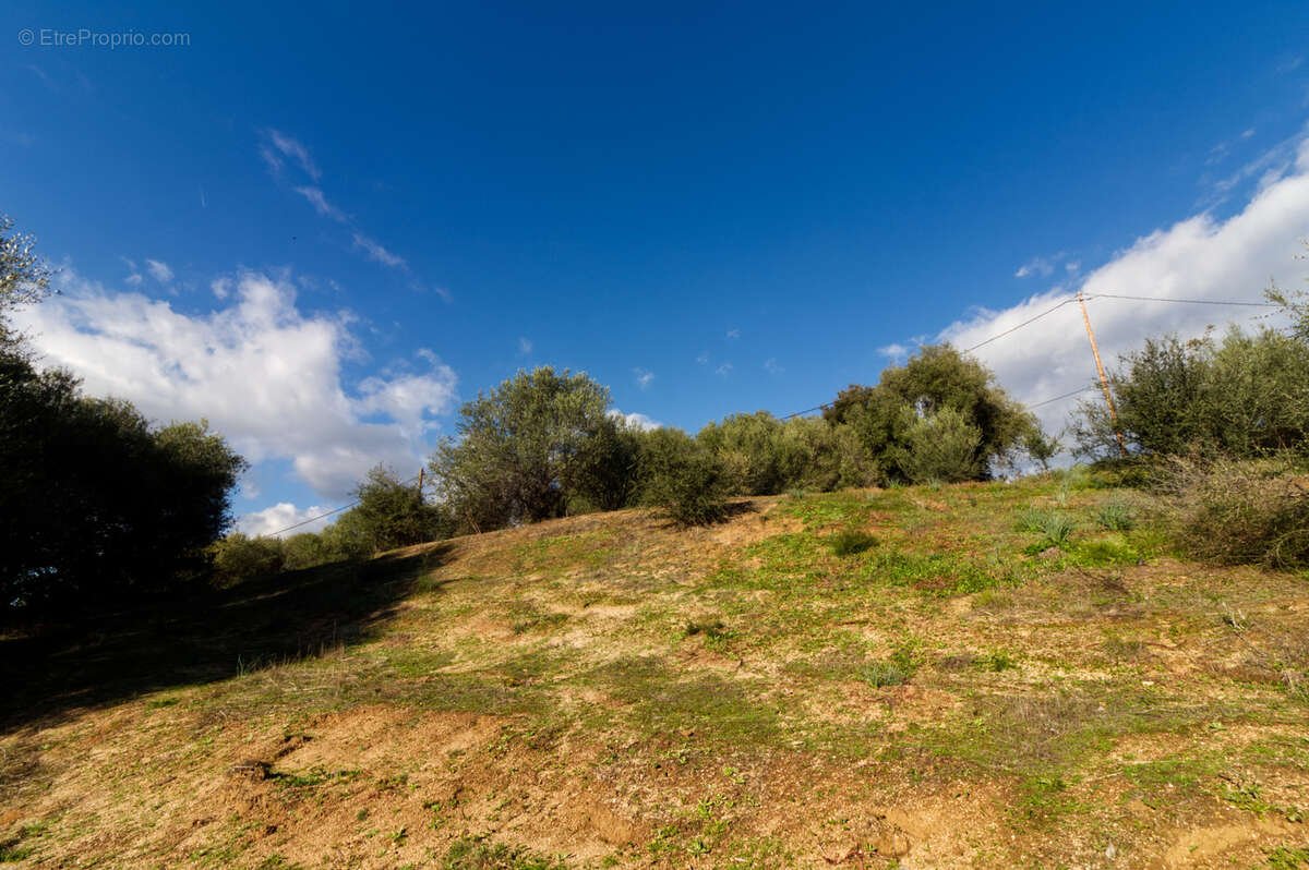 Terrain à BASTELICACCIA