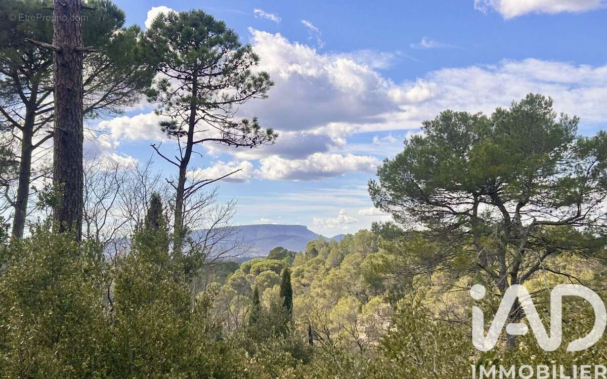 Photo 3 - Maison à BRAS