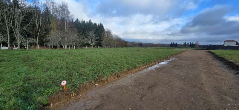Terrain à LE PALAIS-SUR-VIENNE