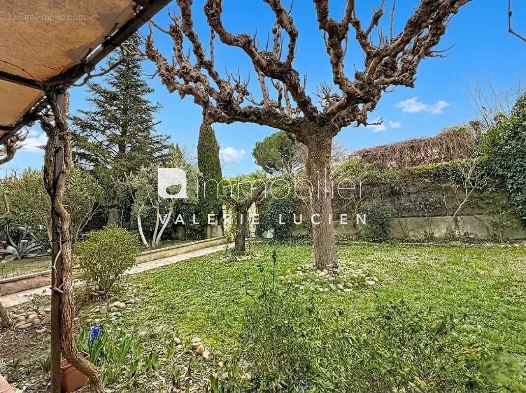 Maison à SAINT-REMY-DE-PROVENCE