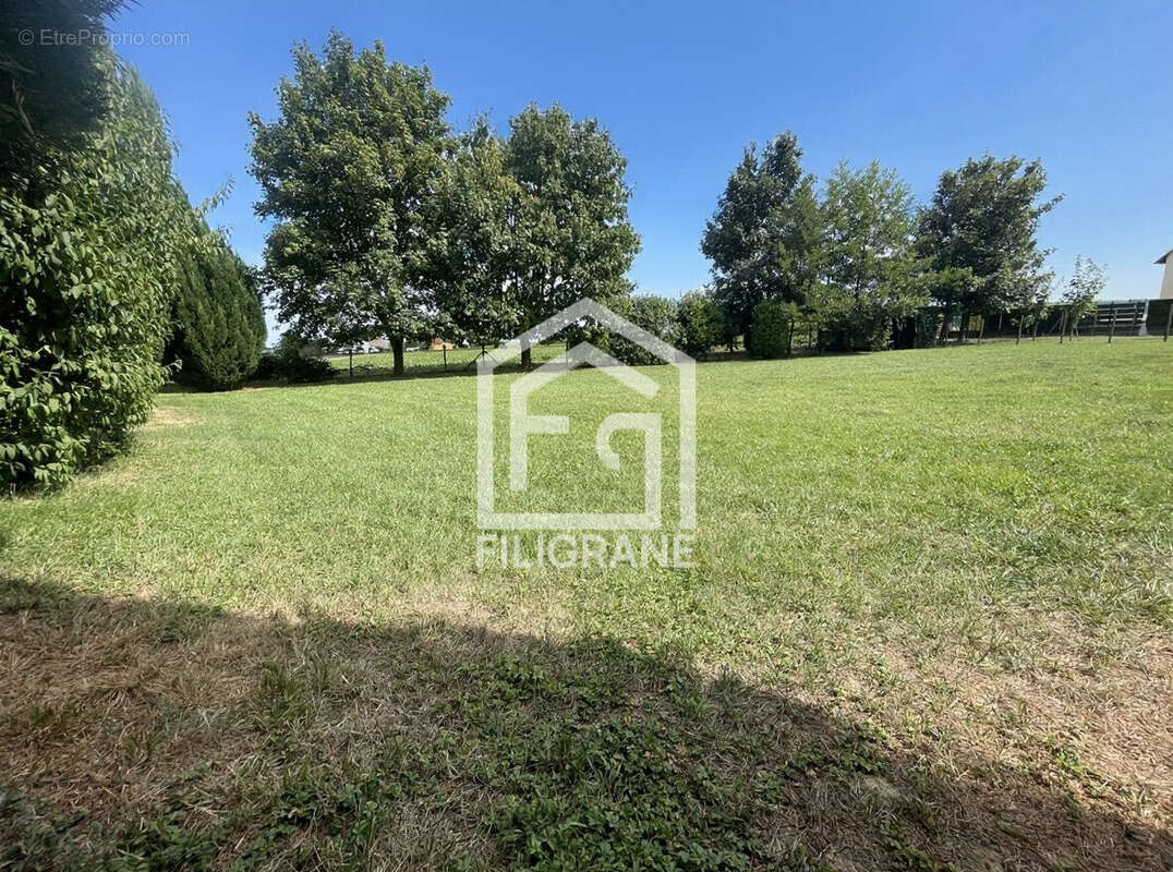 Terrain à SCHNERSHEIM