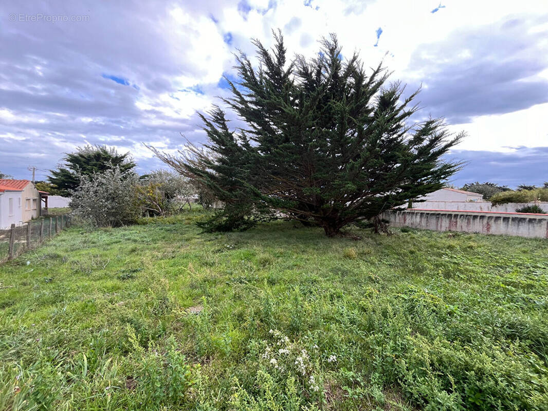 Terrain à SAINT-DENIS-D&#039;OLERON
