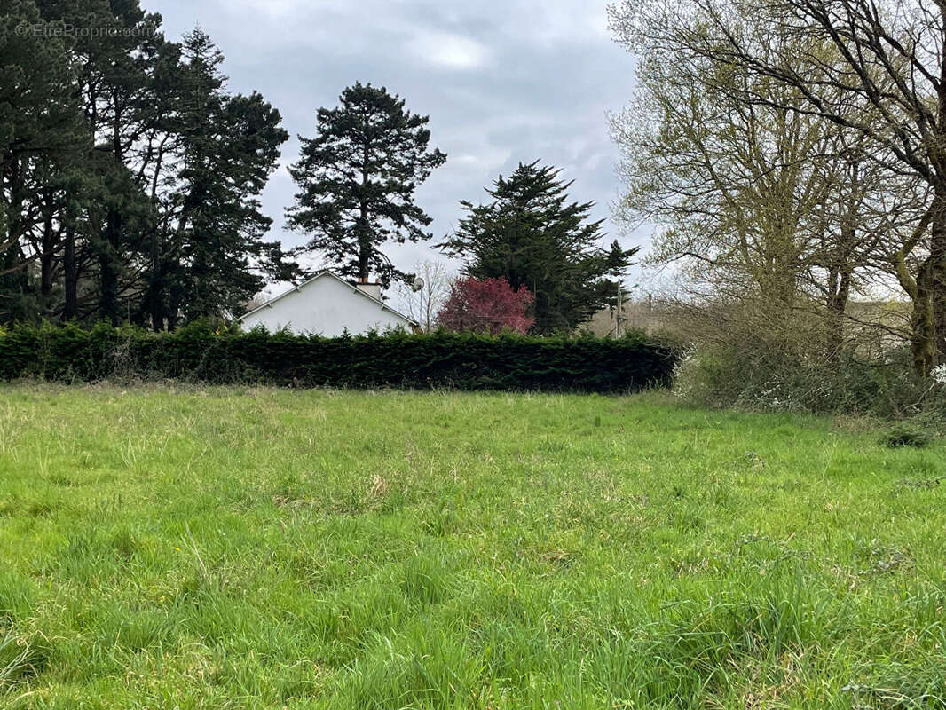 Terrain à SAINT-LYPHARD