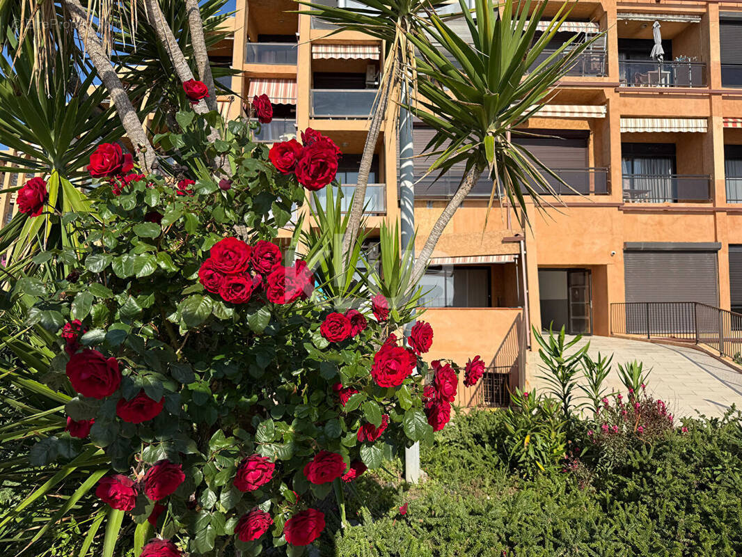 Appartement à SANTA-LUCIA-DI-MORIANI