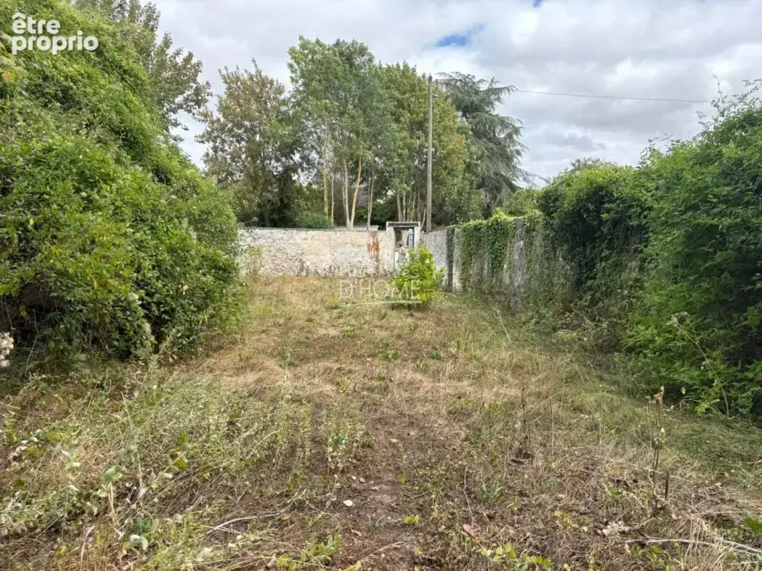 Jardin d'agrément à Jouy-sur-Morin, en bordure de rivière - photo 2