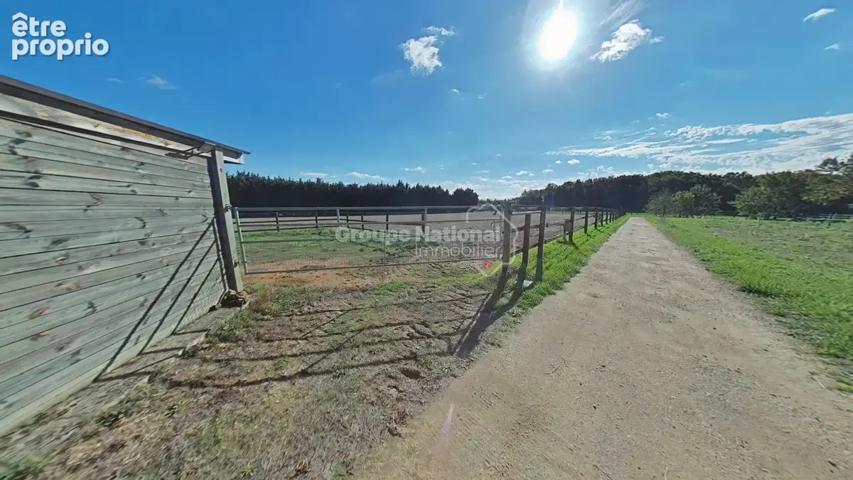 Domaine équestre clé en main sur 14 hectares, à 20 minutes de Tours - photo 5