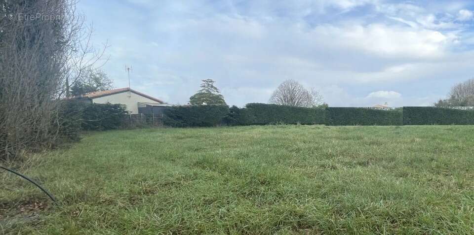 Terrain à SAINT-GILLES-CROIX-DE-VIE