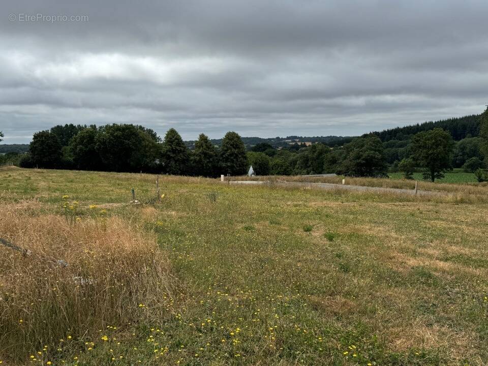 Terrain à SAINT-GEORGES-BUTTAVENT