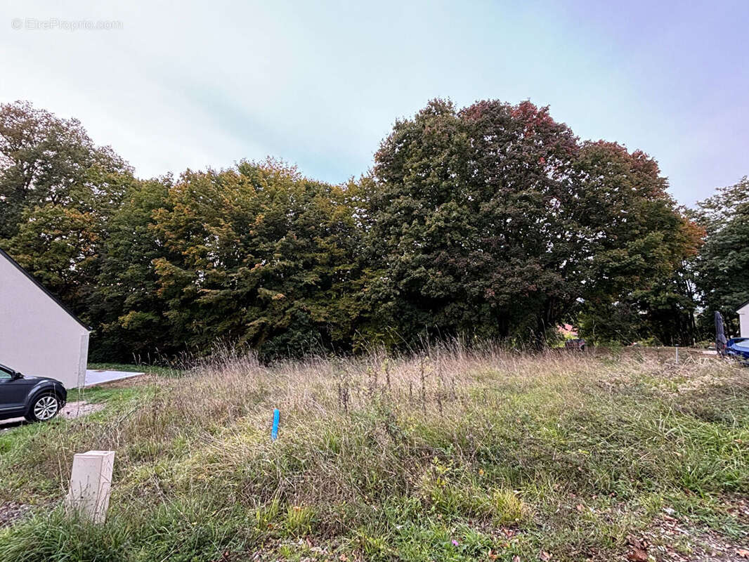 Terrain à SAINT-CYR-SUR-LOIRE