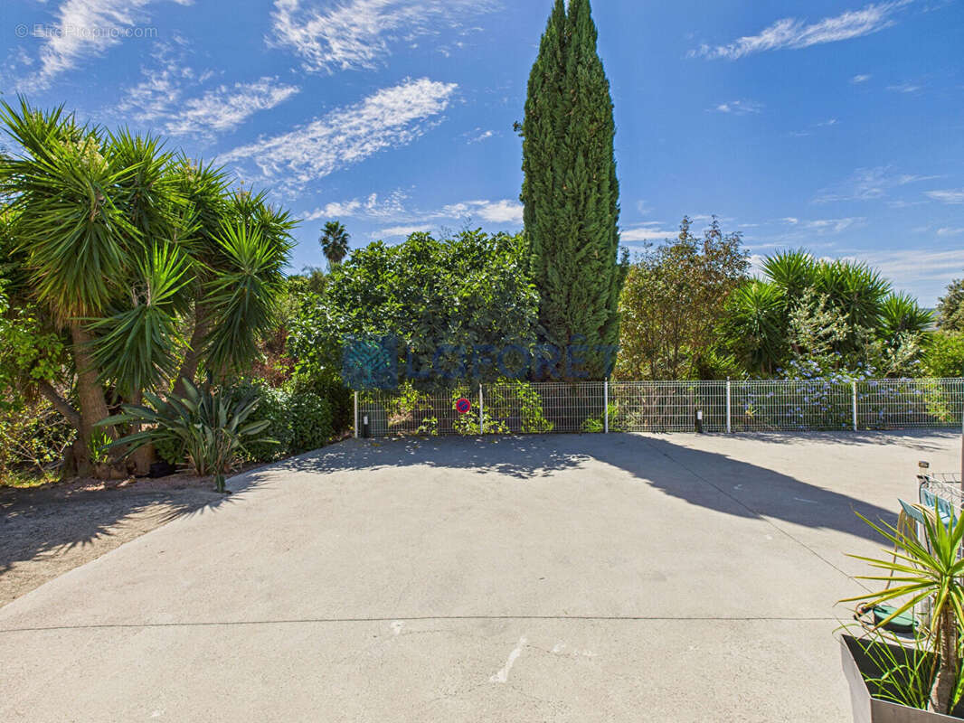 Maison à CUTTOLI-CORTICCHIATO