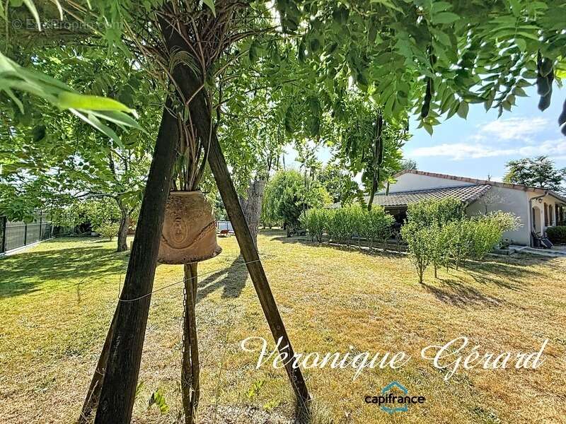Maison Plain-Pied de 173 M² 6 chambres sur plus de 3000 m² de terrain - photo 20