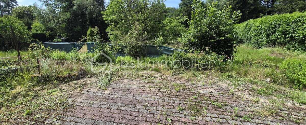 Maison avec un Grand Terrain et beau potentiel - photo 6