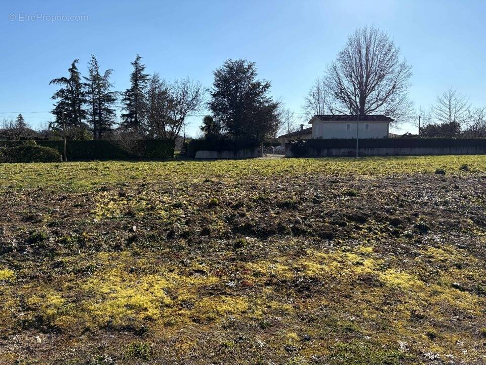 Terrain à CASTRES