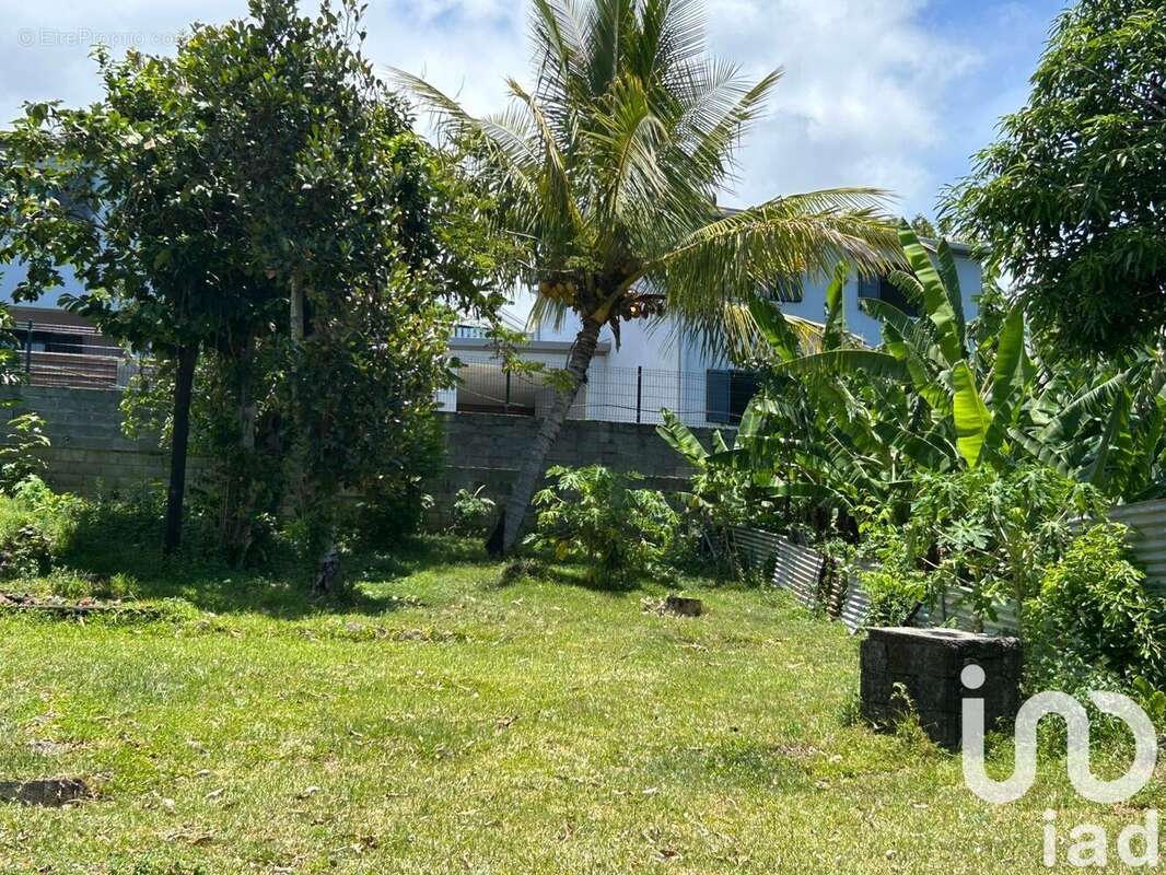 Photo 7 - Maison à SAINT-ANDRE