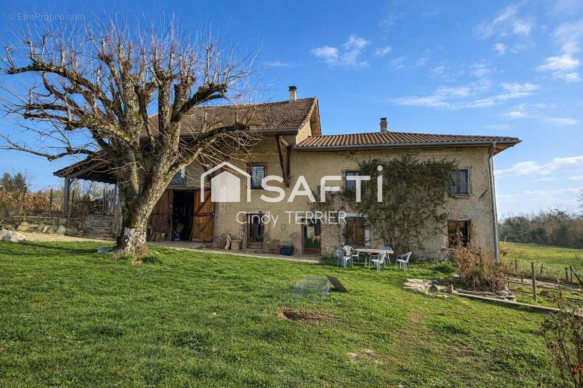 Photo 3 - Maison à CHARAVINES