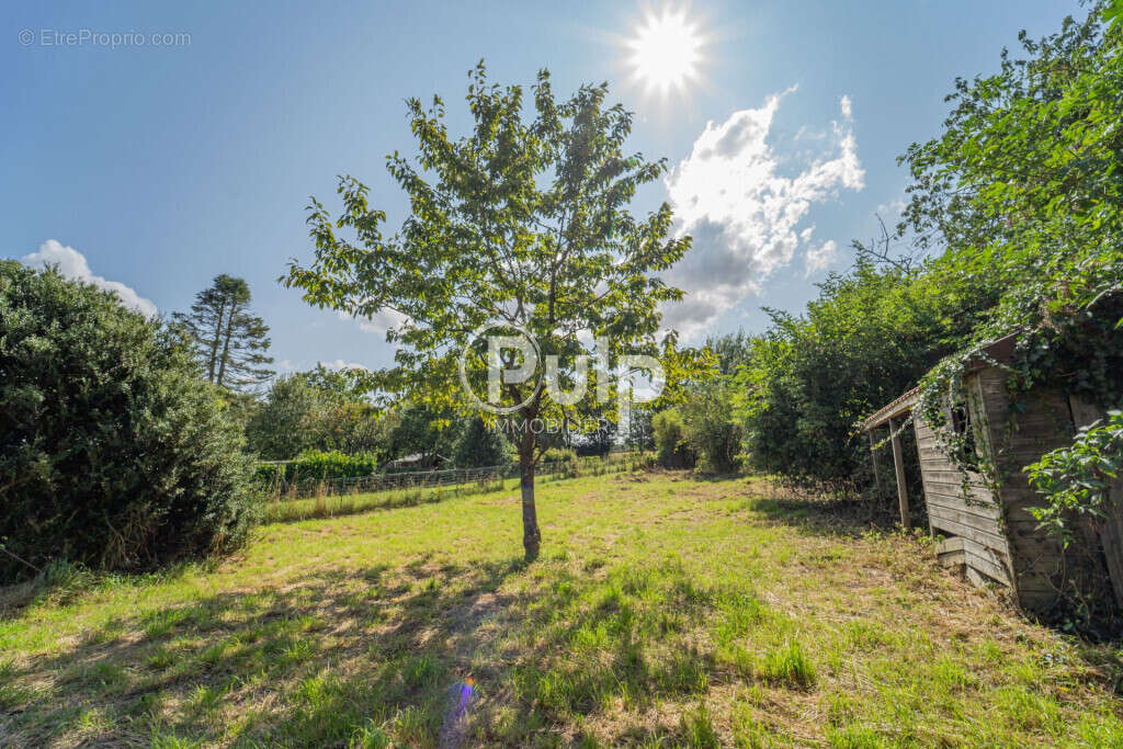 Maison à CALONNE-RICOUART