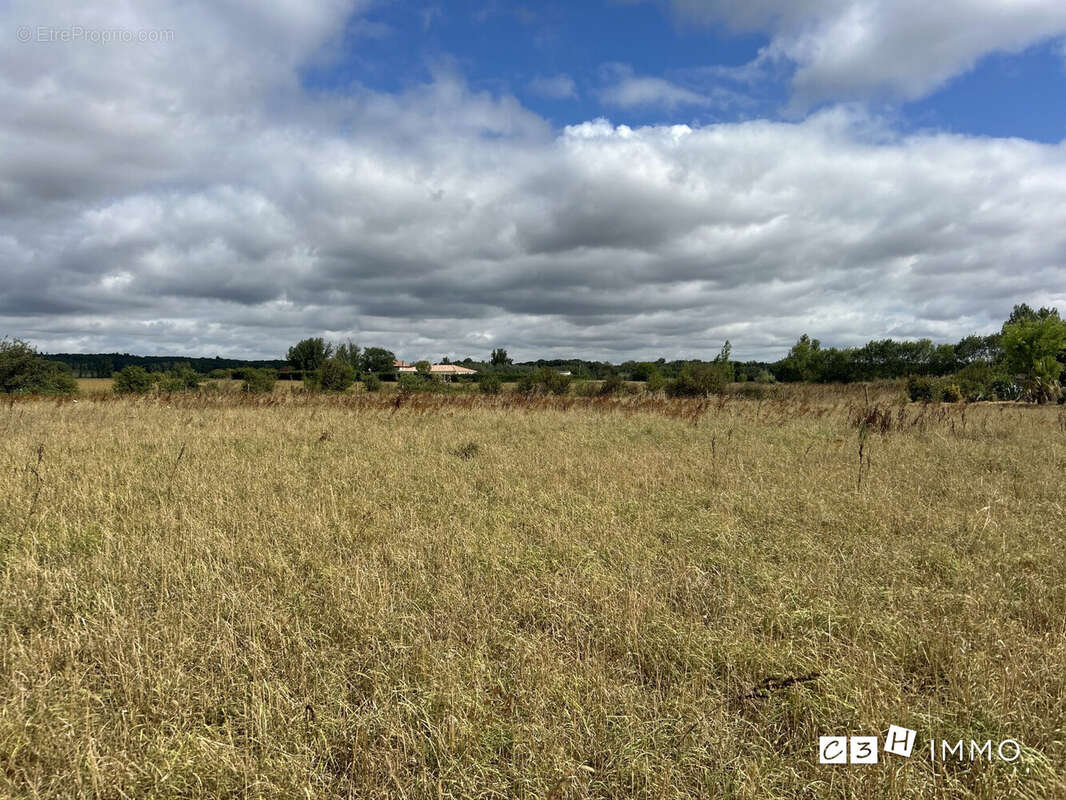 Terrain à LONGAGES