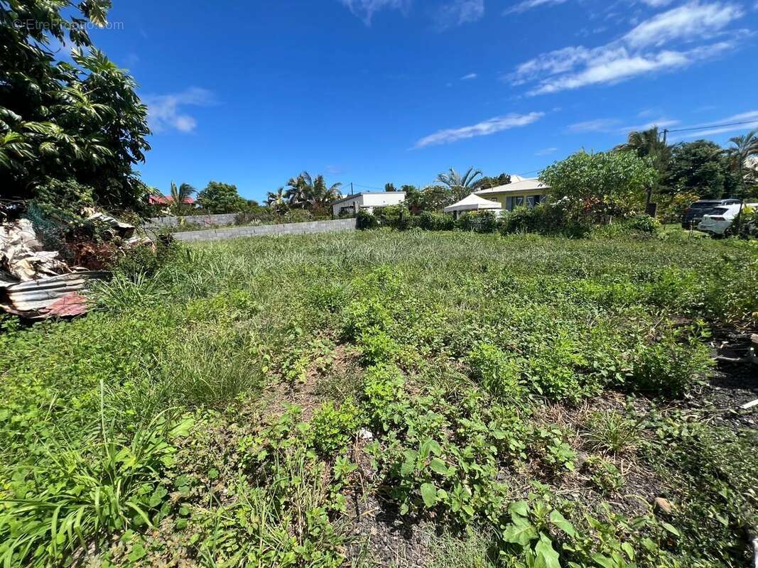 Terrain à SAINT-ANDRE