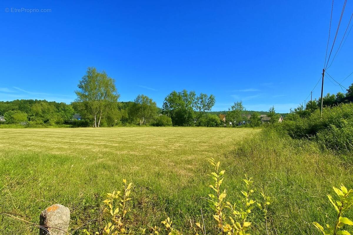 Terrain à SAINT-ALBAN-SUR-LIMAGNOLE