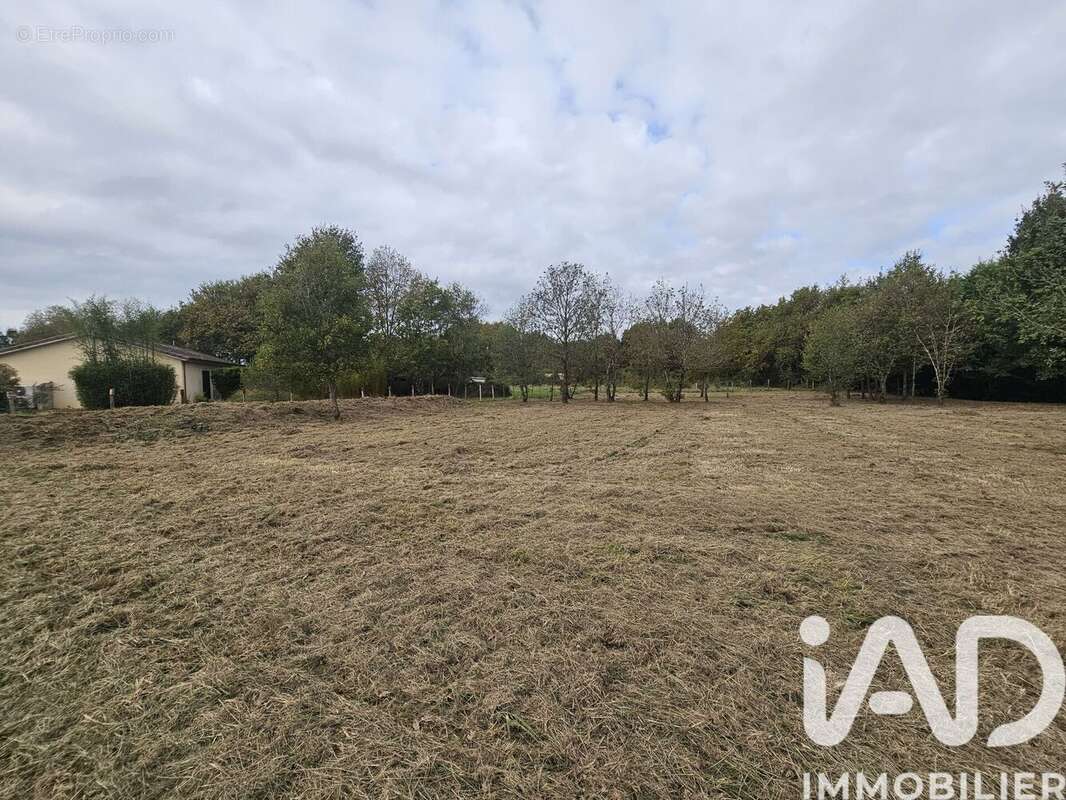 Photo 2 - Terrain à CASTELSARRASIN