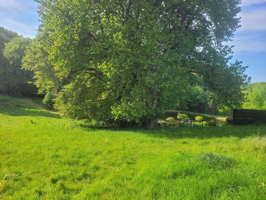 Photo 4 - Maison à BEAUVAIN
