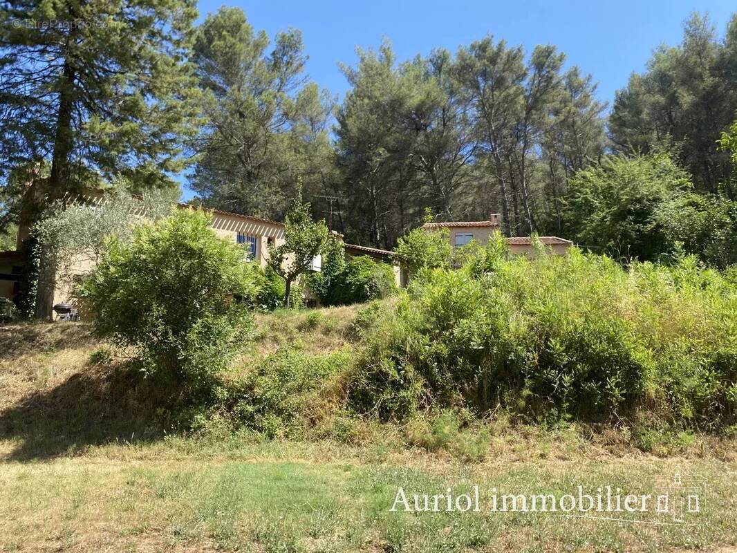 AURIOL - Villa 312 m² sur 9 690 m² de terrain - 3 logements - photo 3