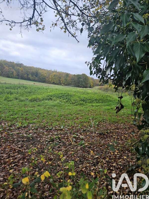 Photo 4 - Terrain à VILLENEUVE-SUR-YONNE