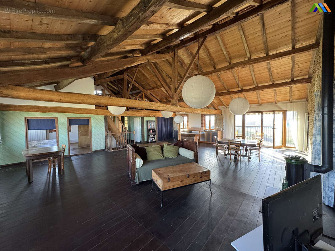 Maison 427 m² à L'isle-En-Dodon  - photo 5