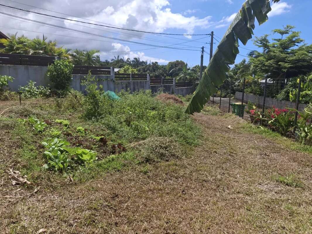 Maison à SAINT-PIERRE
