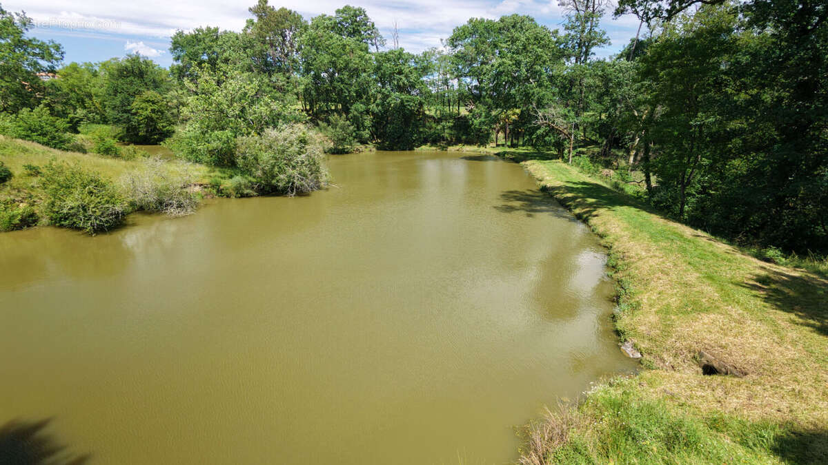 Propriété de caractère avec étang sur plus de 4 hectares - photo 13