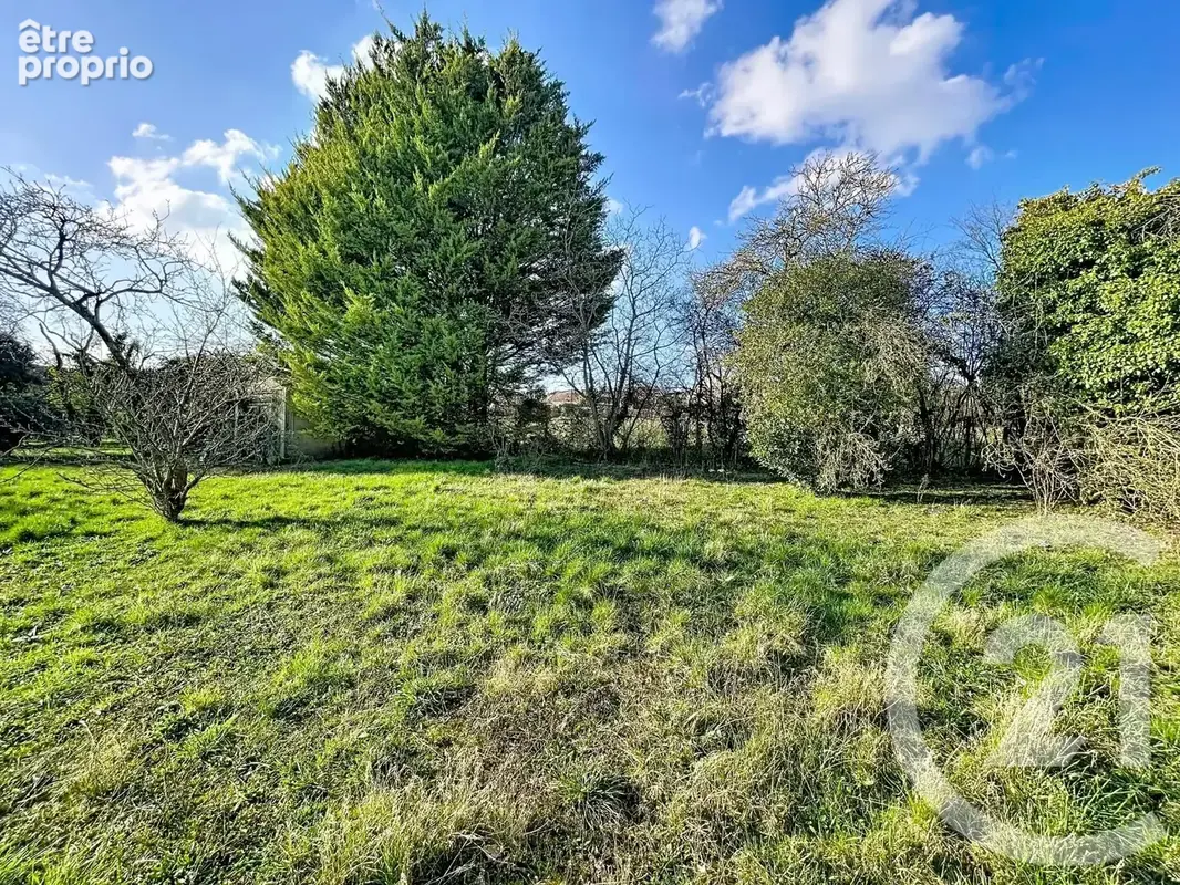 Terrain 1 253 m² à vendre à La Grande-Paroisse (77130) - photo 2