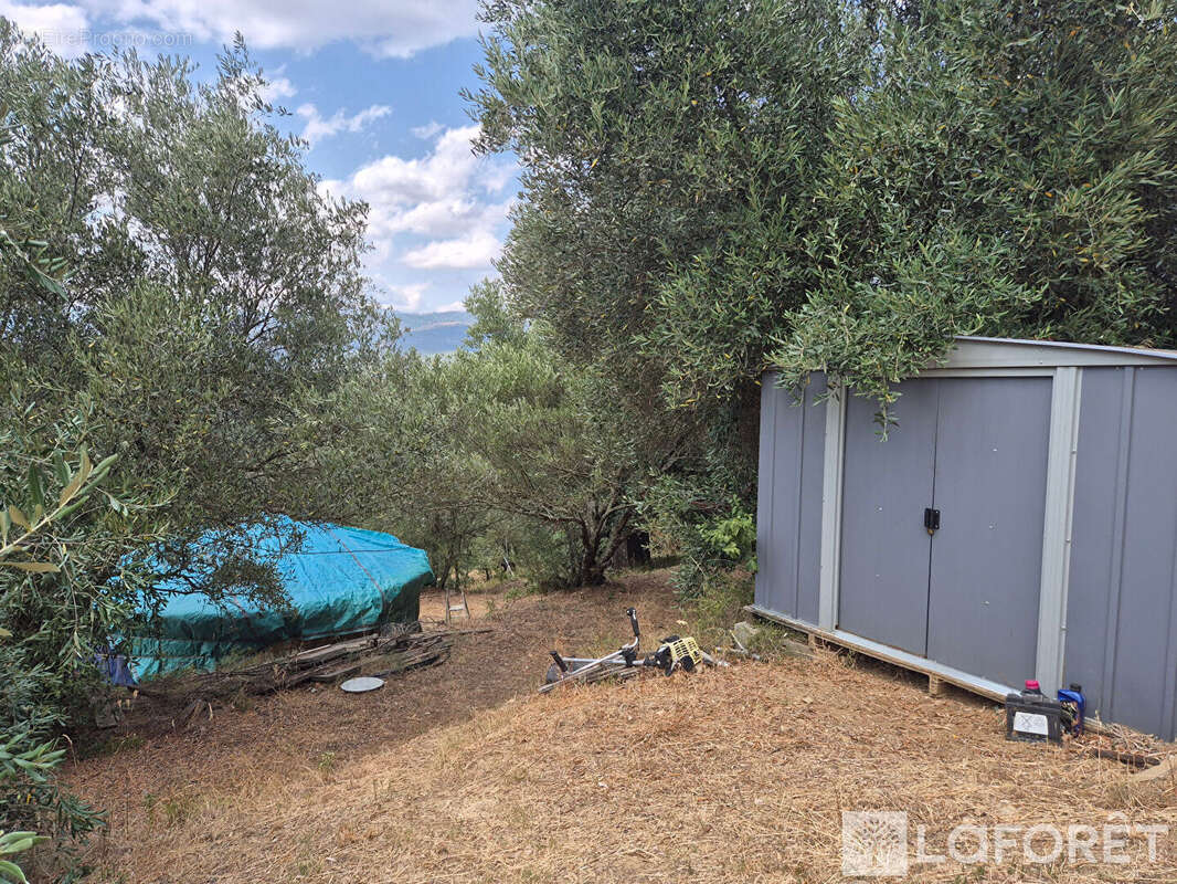 Maison Los Masos sur terrain de 4300m2 - photo 22