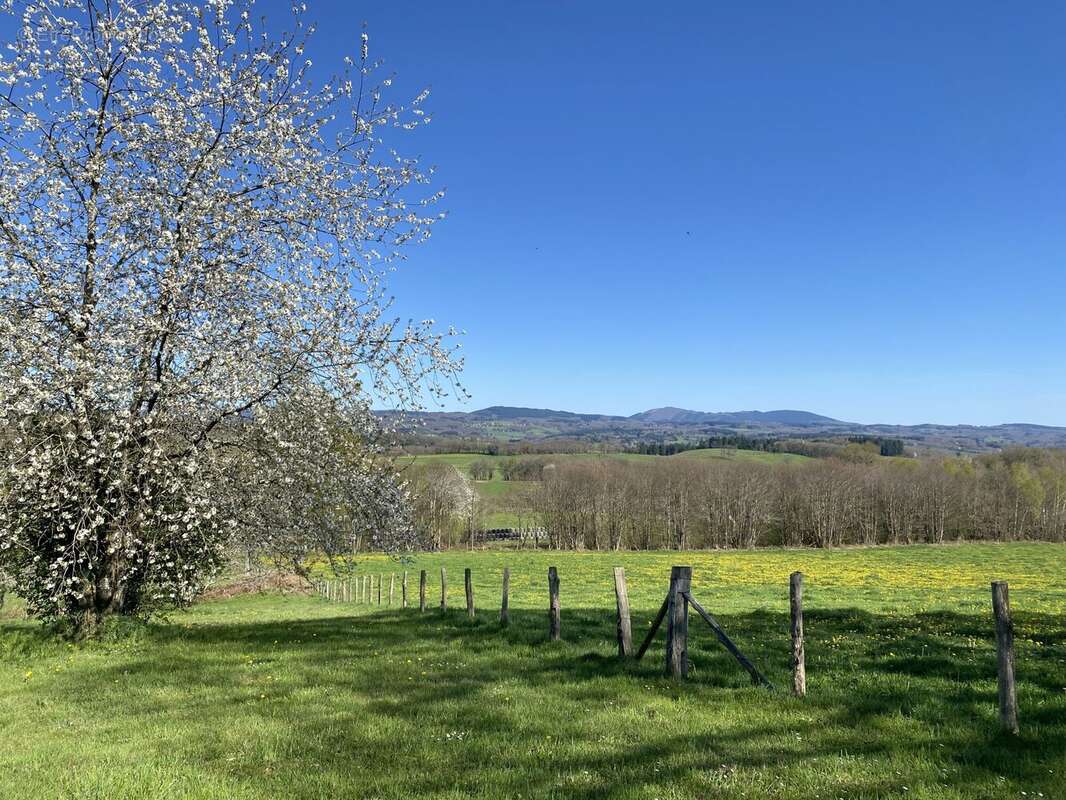 Maison à RILHAC-TREIGNAC