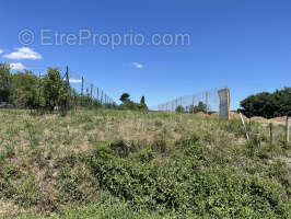 Terrain à MONTPEYROUX
