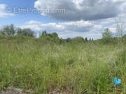 Autre à SAINT-SATURNIN