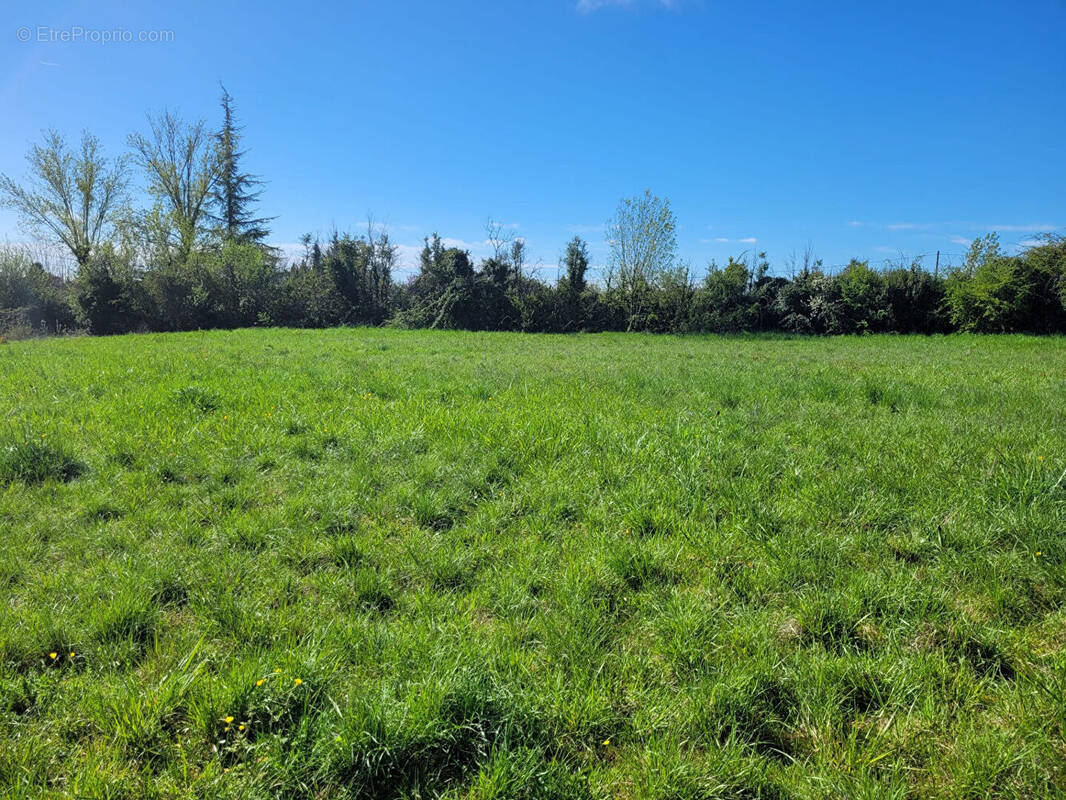 Terrain à CASTELNAU-MONTRATIER