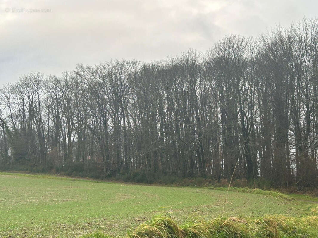 Terrain à SAINT-HILAIRE-DU-HARCOUET