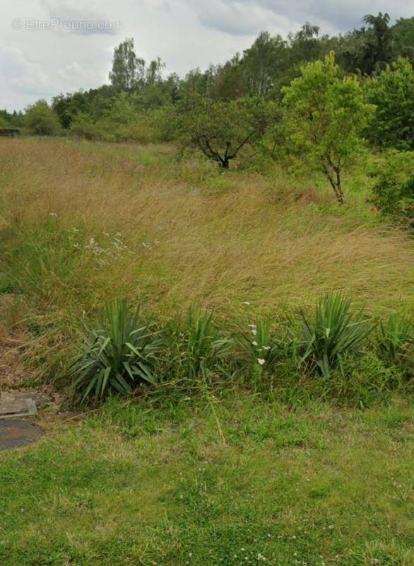 Terrain à ROMORANTIN-LANTHENAY