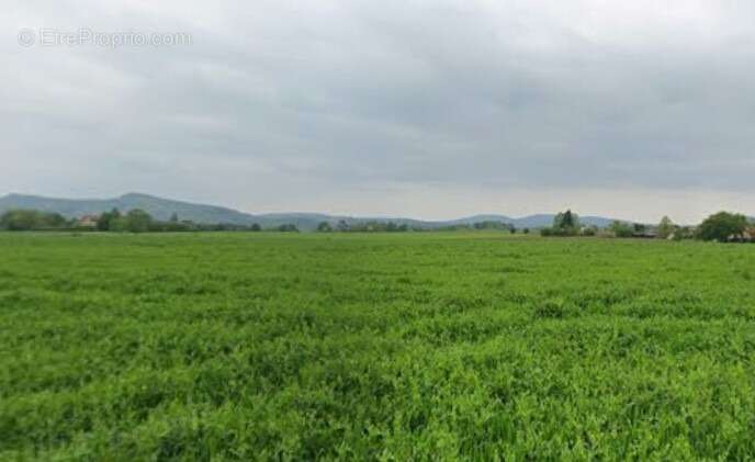 Terrain à MAZERES-SUR-SALAT