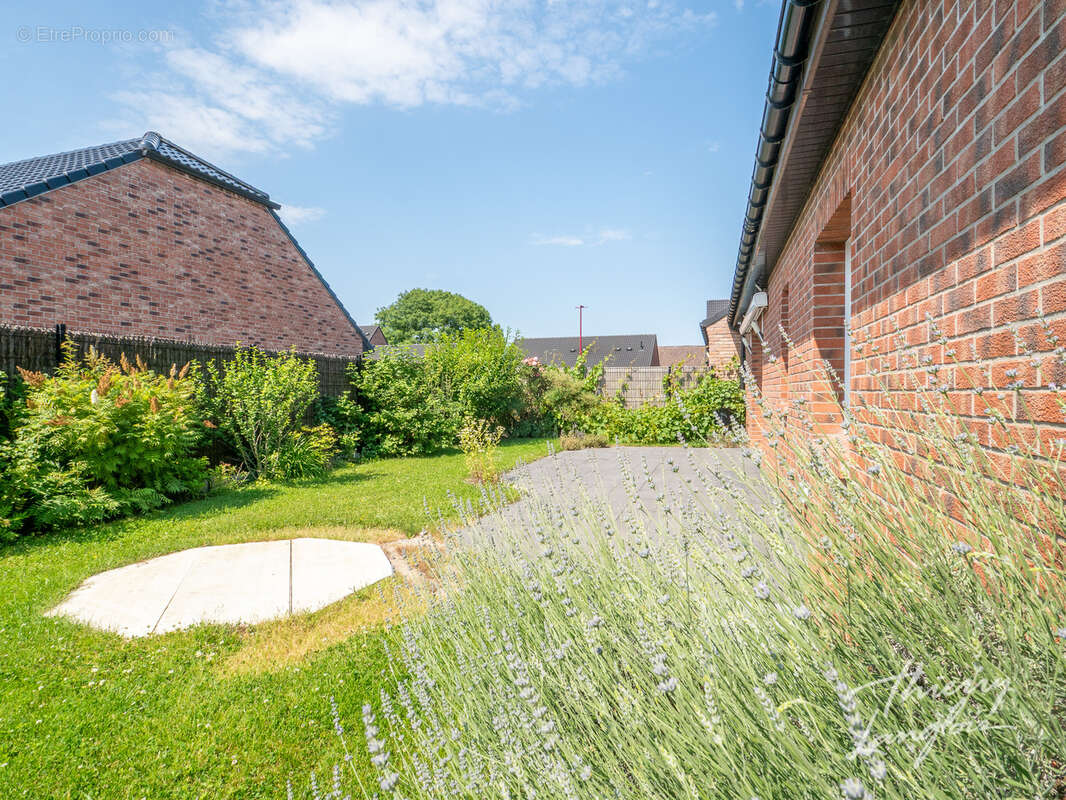 Maison à COUTICHES