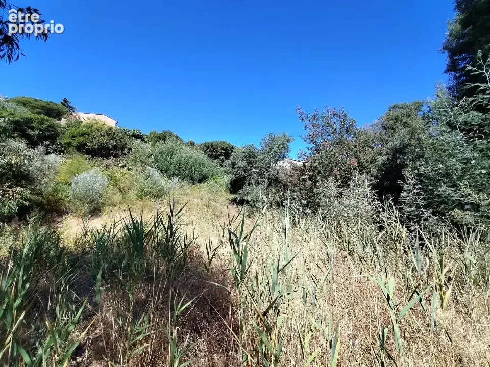Terrain 1568 m² à Sainte-Maxime  - photo 3