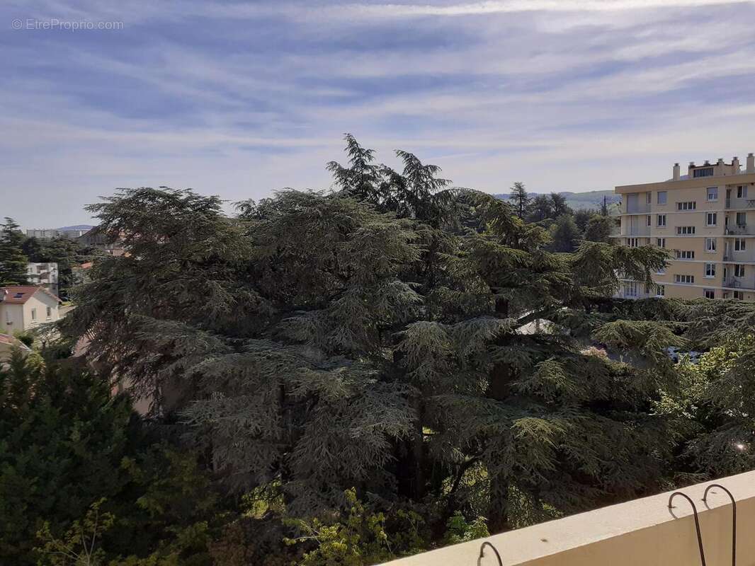 Photo 7 - Appartement à SAINT-CHAMOND