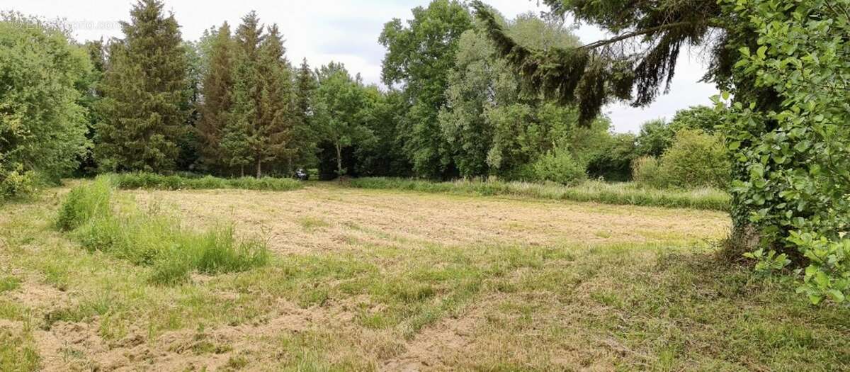 Terrain 12594 m² à Grand-Fayt  - photo 3